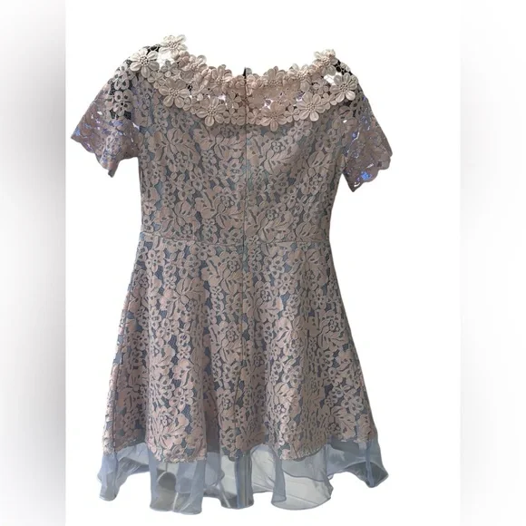 Elegant Floral Lace Dress with Sheer Hem and Flower Appliqué Details - Picture 2 of 6